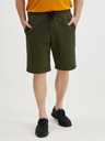 Oakley Short pants