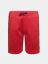 Sam 73 Kids Shorts