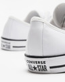 Converse All Star Dainty Low Top Sneakers